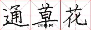 駱恆光通草花楷書怎么寫
