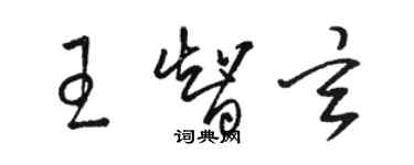 駱恆光王智玄草書個性簽名怎么寫