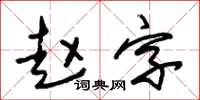 朱錫榮趙字草書怎么寫