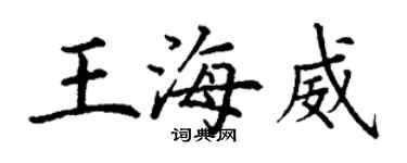 丁謙王海威楷書個性簽名怎么寫