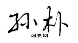 曾慶福孫朴行書個性簽名怎么寫