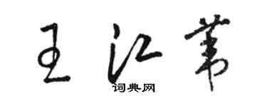 駱恆光王江葦草書個性簽名怎么寫