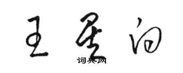 駱恆光王星白草書個性簽名怎么寫