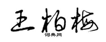 曾慶福王柏梅草書個性簽名怎么寫