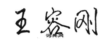 駱恆光王容剛行書個性簽名怎么寫