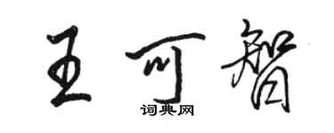 駱恆光王可智行書個性簽名怎么寫