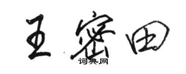 駱恆光王密田行書個性簽名怎么寫