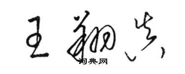 駱恆光王翔真草書個性簽名怎么寫