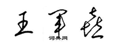 梁錦英王軍喜草書個性簽名怎么寫