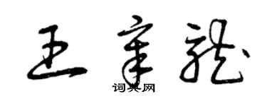 曾慶福王章龍草書個性簽名怎么寫