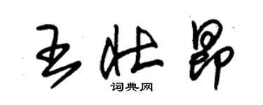 朱錫榮王壯昂草書個性簽名怎么寫