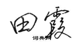 駱恆光田霞行書個性簽名怎么寫