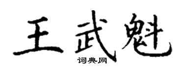 丁謙王武魁楷書個性簽名怎么寫