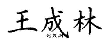 丁謙王成林楷書個性簽名怎么寫