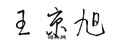 駱恆光王京旭草書個性簽名怎么寫