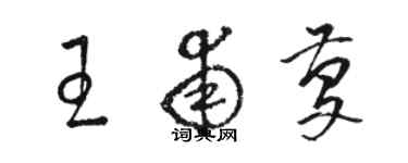 駱恆光王甫慶草書個性簽名怎么寫