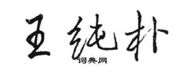 駱恆光王純樸行書個性簽名怎么寫