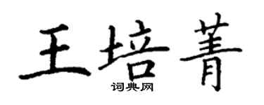 丁謙王培菁楷書個性簽名怎么寫