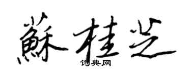 王正良蘇桂芝行書個性簽名怎么寫