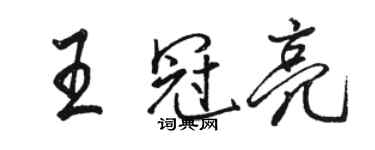 駱恆光王冠亮行書個性簽名怎么寫