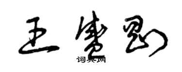 曾慶福王盛剛草書個性簽名怎么寫