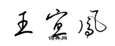 梁錦英王宜鳳草書個性簽名怎么寫