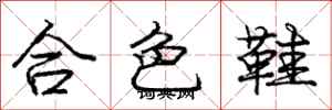 龐中華合色鞋行書怎么寫