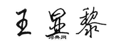 駱恆光王顯黎行書個性簽名怎么寫