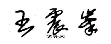 朱錫榮王震峰草書個性簽名怎么寫