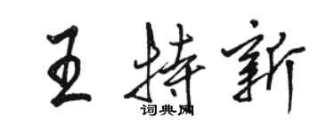 駱恆光王特新行書個性簽名怎么寫