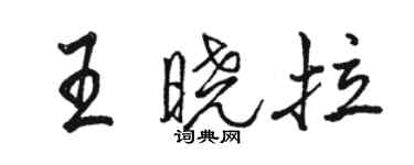 駱恆光王曉拉行書個性簽名怎么寫