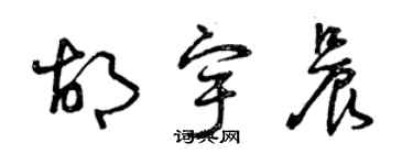 曾慶福胡宇晨草書個性簽名怎么寫