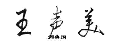 駱恆光王聲美行書個性簽名怎么寫