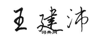 駱恆光王建沛行書個性簽名怎么寫