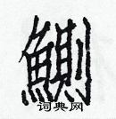 白克儉寫的硬筆楷書鰂