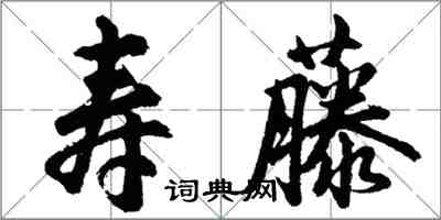 胡問遂壽藤行書怎么寫