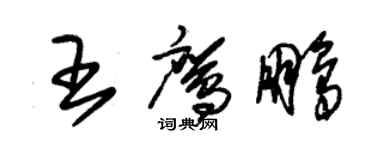 朱錫榮王鷹鵬草書個性簽名怎么寫