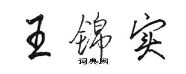 駱恆光王錦實行書個性簽名怎么寫