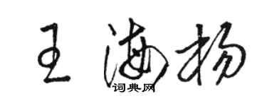 駱恆光王海楊草書個性簽名怎么寫