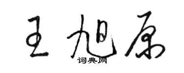 駱恆光王旭原草書個性簽名怎么寫