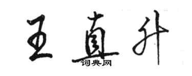 駱恆光王直升行書個性簽名怎么寫