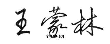 駱恆光王蒙林行書個性簽名怎么寫