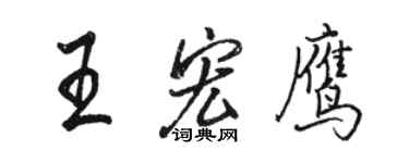 駱恆光王宏鷹行書個性簽名怎么寫