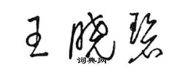 駱恆光王曉碧草書個性簽名怎么寫