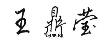 駱恆光王鼎瑩行書個性簽名怎么寫