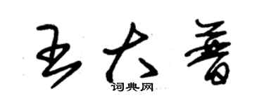 朱錫榮王大普草書個性簽名怎么寫