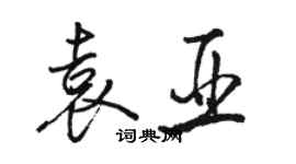 駱恆光袁亞行書個性簽名怎么寫