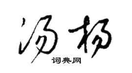 梁錦英湯楊草書個性簽名怎么寫