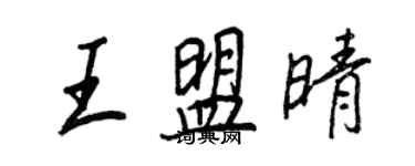 王正良王盟晴行書個性簽名怎么寫