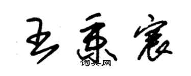 朱錫榮王秉宸草書個性簽名怎么寫